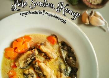 Mudah Cepat Memasak Lele Santan Kecap Praktis Enak