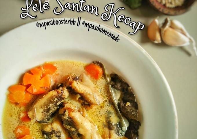 Lele Santan Kecap