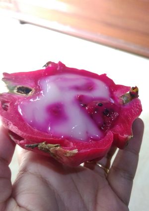 Foto resep Puding buah naga