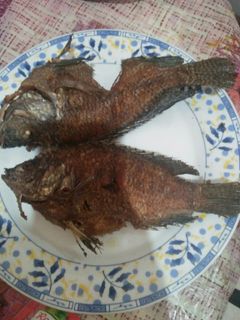 Foto resep Mujair goreng