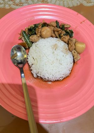 Foto resep Nasi Masak Ayam Kecap Sayur (Mpasi Balita)