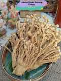 Jamur Enoki Goreng Crispy
