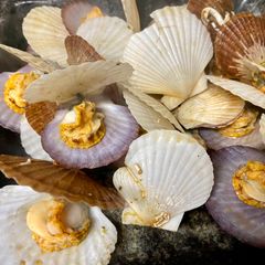 A picture of Japanese Steamed Baby Scallops.