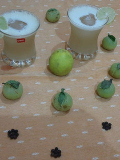 આમળા શરબત(Amla sarbat recipe in Gujarati) રેસીપી મુખ્ય ફોટો