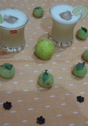 આમળા શરબત(Amla sarbat recipe in Gujarati) રેસીપી મુખ્ય ફોટો