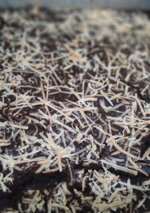 Foto resep Fudgy Brownies