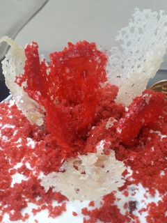 عکسی از دستور تور خوراکی