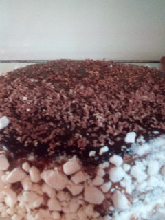 Una foto de Torta de chocolate