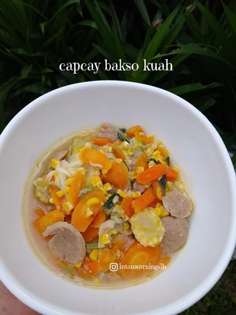 Cara Mudah Membikin Resep Capcay bakso kuah yang Bisa Manjain Lidah Anti Ribet, Mantap