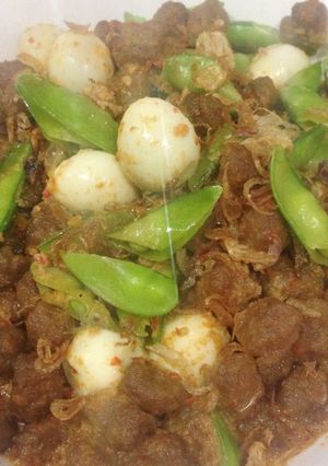 Foto resep Sambal goreng bola daging / kreni