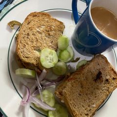 A picture of Best keema tiiki sandwich with lots of veggies.