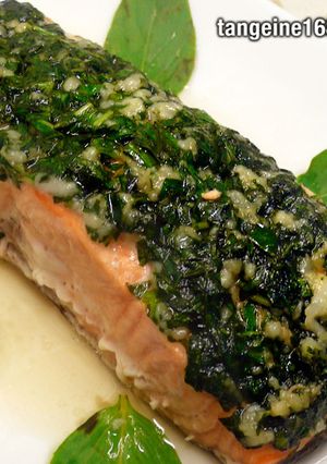 九層塔青醬鮭魚 的食譜成品照片