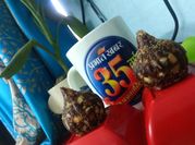 A picture of kaju modak