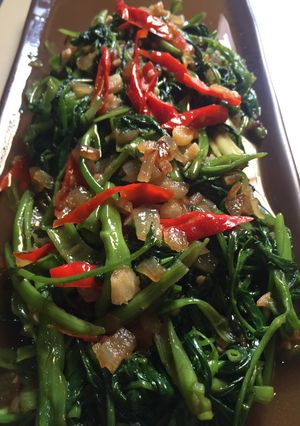 Foto resep Tumis Kangkung Saos tiram