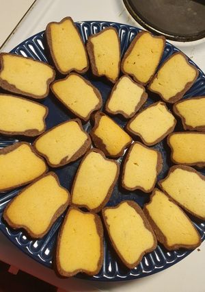 A picture of Cookies.