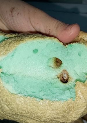Una foto de Pan de nube