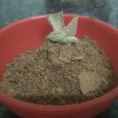 A picture of Chai masala.