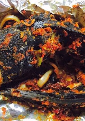 A picture of Berbecue CatFish.