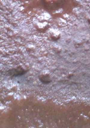 A picture of Chocolate Fudge Cake (express recipe!).