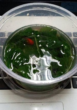 Foto resep Sayur Bayam