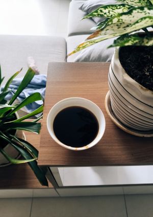Hình của món Nước sốt trộn bún miến, xào rau.