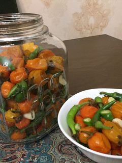 عکسی از دستور ترشی بادمجان توگا