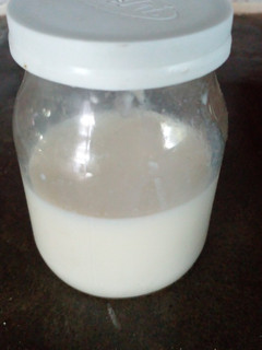 Una foto de Yogurt casero sin yogurtera - en termo