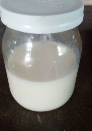 Una foto de Yogurt casero sin yogurtera - en termo