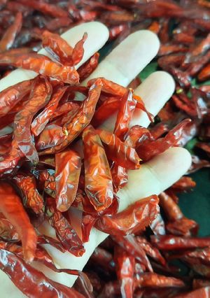 รูปของ พริกแห้งหอมๆ สีสดๆ เก็บได้นาน 🌶