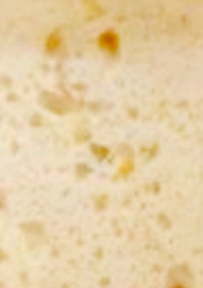 Una foto de Masa madre