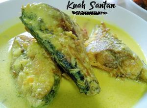 Foto resep Ikan Selikur Kuah Santan