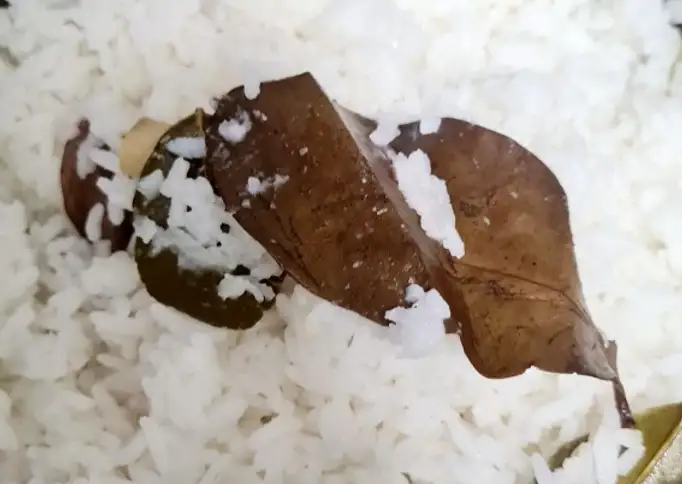 Nasi Uduk praktis pake magicom