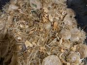 Gambar bihun baso goreng