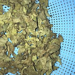 A picture of Dry mint leaves.