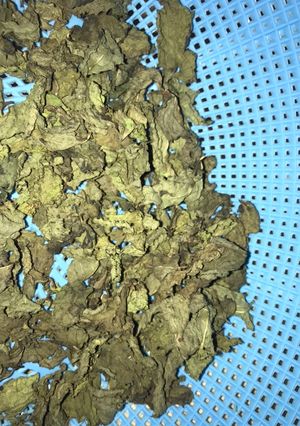 A picture of Dry mint leaves.