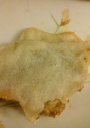A picture of Homemade tortilla shells.
