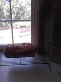 Gluten Free Bread