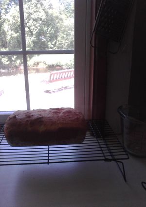 A picture of Gluten Free Bread.