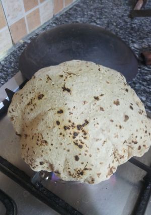 A picture of Roti.