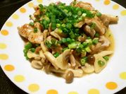 A picture of white fungus