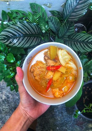 Foto resep Tongseng Ayam Santan Segar
