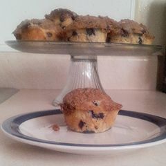 A picture of Blueberry Muffins.