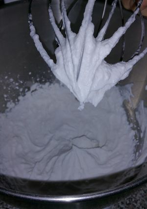 A picture of Healthy Coconut Whip Cream.