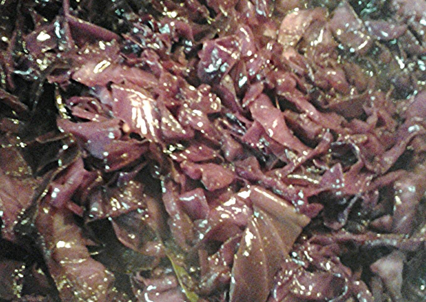 Rotkohl, Blaukraut, Rotkraut - Red Cabbage