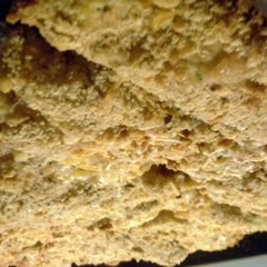 A picture of Oven Baked Cheesy-Ranch Chicken Strips.