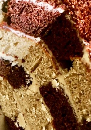 A picture of Chessboard cake.