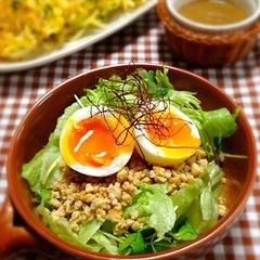 A picture of Tofu Soboro and Salad Rice Bowl.