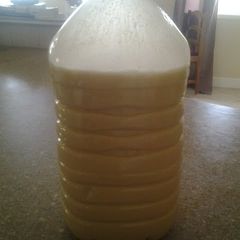 A picture of Mabel's Pinacolada.