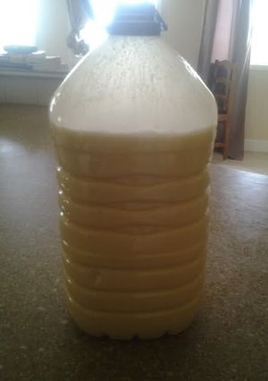 A picture of Mabel's Pinacolada.