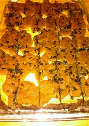 A picture of Chocolate chip squares.